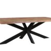11977-3.jpg Eettafel Sturdy Tree Top Spider