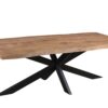 11977_3.jpg Eettafel Sturdy Tree Top Spider