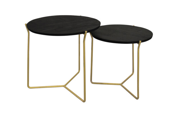 Mason Black/Brass Set of 2