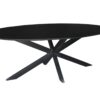 Oslo Black Oval 210 cm