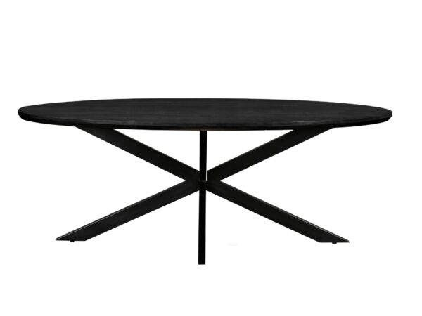 31018-2_kopie.jpg Jesper Oval Black 240 cm